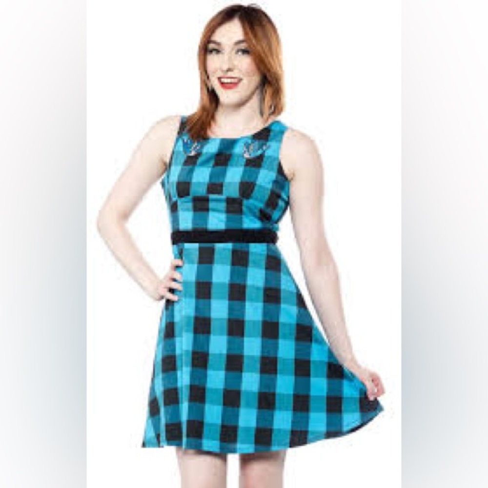 Sourpuss rare blue checked dress with embroidery